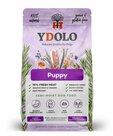 Ydolo healthy pure puppy