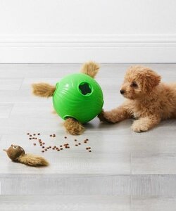 Dog Snuffle n' Treat ball