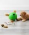 Dog snuffle n treat ball